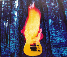 Load image into Gallery viewer, Heart : Desire Walks On (CD, Album)