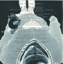 Load image into Gallery viewer, h* : Ice Cream Genius (CD, Album)