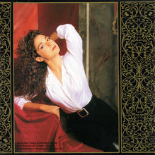 Load image into Gallery viewer, Gloria Estefan : Exitos De Gloria Estefan (CD, Comp)