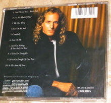 Load image into Gallery viewer, Michael Bolton : The One Thing (CD, Album)