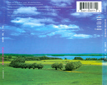 Load image into Gallery viewer, David Bowie : Earthling (CD, Album)