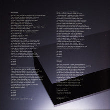 Load image into Gallery viewer, Bleachin' : Everyone Loves You, Everything's Free (CD, Album)