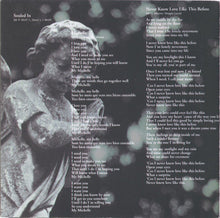 Load image into Gallery viewer, Thomas Anders : Souled (CD, Album)