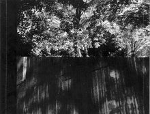 Load image into Gallery viewer, Cowboy Junkies : Miles From Our Home (CD, Album)