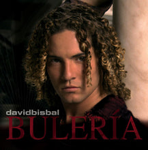 Load image into Gallery viewer, David Bisbal : Bulería (CD, Album)