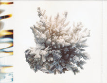 Load image into Gallery viewer, Various : Real Ibiza (2xCD, Comp)