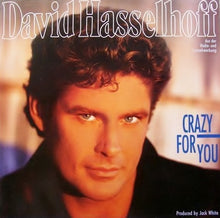 Load image into Gallery viewer, David Hasselhoff : Crazy For You (CD, Album)