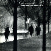 Load image into Gallery viewer, Christian Wallumrød Ensemble : Sofienberg Variations (CD, Album)