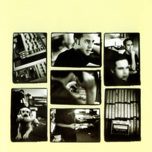 Load image into Gallery viewer, Agnelli & Nelson : Hudson St. (CD, Album)