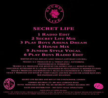 Load image into Gallery viewer, Secret Life : Love So Strong (CD, Single)