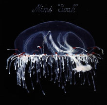 Load image into Gallery viewer, Mimi* : Soak (CD, Album)