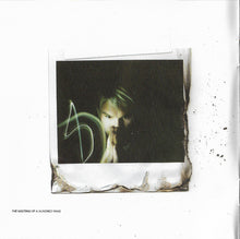 Load image into Gallery viewer, BT : Emotional Technology (CD, Album)