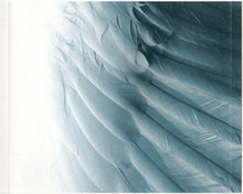 Load image into Gallery viewer, Ayla : Nirwana (CD, Album)