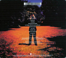 Load image into Gallery viewer, Steven Wilson : Insurgentes (CD, Album + DVD-A, Album, Multichannel + Sli)