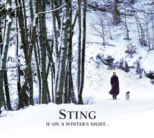 Load image into Gallery viewer, Sting : If On A Winter's Night... (CD, Album, Gat)