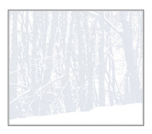 Load image into Gallery viewer, Sting : If On A Winter's Night... (CD, Album, Gat)