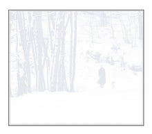 Load image into Gallery viewer, Sting : If On A Winter's Night... (CD, Album, Gat)