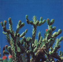 Load image into Gallery viewer, Matt Cassar : Ibiza: The Story So Far... (2xCD, Mixed)