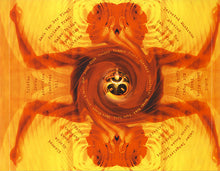 Load image into Gallery viewer, Various : Tribal Dance Experience (CD, Comp)
