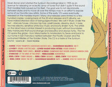 Load image into Gallery viewer, Gavin Hardkiss : Through Rose Tinted Glasses (CD, Comp, Mixed)