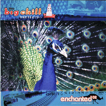 Load image into Gallery viewer, Various : The Big Chill: Enchanted 02 (2xCD, Comp)