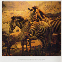 Load image into Gallery viewer, Kosheen : Resist (CD, Album)