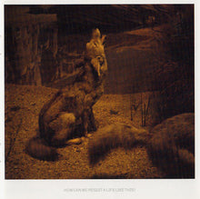 Load image into Gallery viewer, Kosheen : Resist (CD, Album)