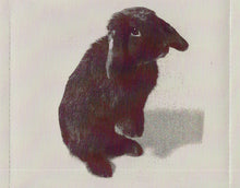 Load image into Gallery viewer, Kate Nash : My Best Friend Is You (CD, Album)