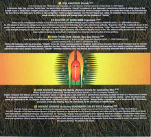 Load image into Gallery viewer, Various : African Travels (CD, Comp)
