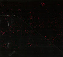 Load image into Gallery viewer, Rancid : Indestructible (CD, Album, Dig)