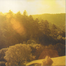 Load image into Gallery viewer, The Merkin Dream : The Merkin Dream (CD, Album)