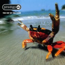 Load image into Gallery viewer, Prodigy* : The Fat Of The Land (CD, Album)