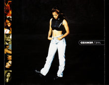 Load image into Gallery viewer, Janet* : Janet.Remixed (CD, Comp)