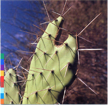 Load image into Gallery viewer, Rossy : Island Of Ghosts (CD, Album)