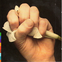 Load image into Gallery viewer, Various : Lament (CD, Album)