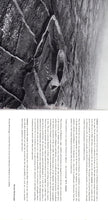 Load image into Gallery viewer, Various : Lament (CD, Album)