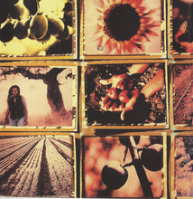 Load image into Gallery viewer, Tracy Chapman : New Beginning (CD, Album)