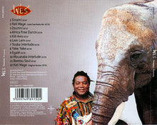 Load image into Gallery viewer, Wes : Sinami (The Memory) (CD, Album)