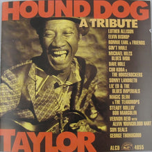Load image into Gallery viewer, Various : Hound Dog Taylor (A Tribute) (CD, Album)