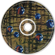 Load image into Gallery viewer, Rick Wright* : Broken China (CD, Album)