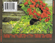 Load image into Gallery viewer, The Stranglers : Hits And Heroes (CD, Comp, Enh)