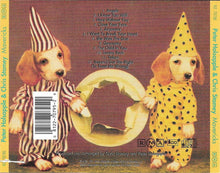 Load image into Gallery viewer, Peter Holsapple And Chris Stamey : Mavericks (CD, Album)