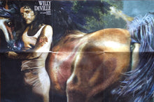 Load image into Gallery viewer, Willy DeVille : Horse Of A Different Color (CD, Album)