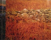 Load image into Gallery viewer, The Chieftains : The Wide World Over (A 40 Year Celebration) (CD, Comp)
