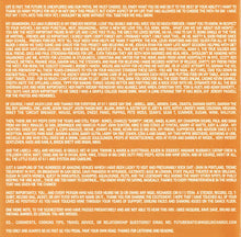 Load image into Gallery viewer, Nigel Richards : Futurematic (CD, Comp, Mixed)