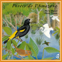 Load image into Gallery viewer, Pierre Huguet / Olivier Tostain : Forêts De L'Amazone / Forests Of The Amazon (CD, Album)