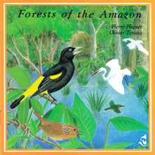 Load image into Gallery viewer, Pierre Huguet / Olivier Tostain : Forêts De L'Amazone / Forests Of The Amazon (CD, Album)