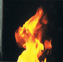 Load image into Gallery viewer, Grace : If I Could Fly (CD, Album)