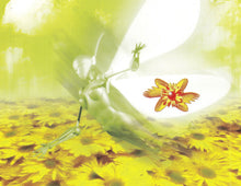 Load image into Gallery viewer, Various : Nature One Festival 98 (CD, Comp + CD, Comp, Mixed)
