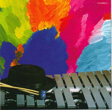Load image into Gallery viewer, Orphy Robinson : The Vibes Describes (CD, Album)